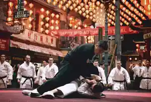 Ip Man 4 logo